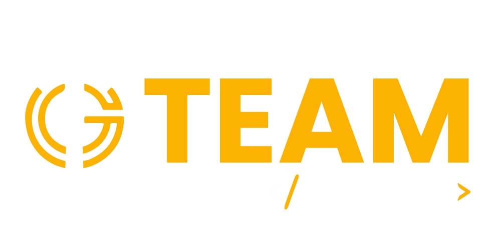 Team Globals IT Services Company
